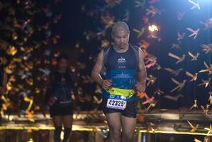 BIB: 42325
                            <button type="button" onclick="openModal(18287864)" class="btn btn-primary btn-sm float-right btn-popup" data-toggle="modal" data-target=".modal-high-quality">
                        <i class="fas fa-shopping-cart"></i> Add to Cart
                    </button>
                                            <button type="button" onclick="isThisMe(18287864, true)" class="btn btn-success btn-sm float-right btn-popup btn-isme hidden" data-toggle="tooltip" data-placement="bottom" title="นี่คือรูปของคุณใช่ไหม คลิกที่นี่เพื่อเอาเข้าอัลบั้ม">
                        <i class="fas fa-plus"></i> Add to album
                    </button>
                    <button type="button" onclick="isThisMe(18287864, false)" class="btn btn-warning btn-sm float-right btn-popup btn-isnotme hidden">
                        <i class="fas fa-ban"></i> Remove from album
                    </button>